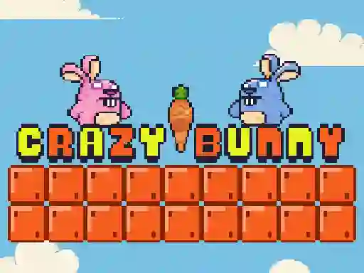 Spel Crazy Bunny aanlyn