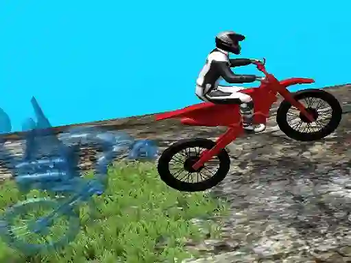 Spel Forest Bike Trials 2019 aanlyn