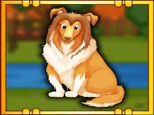 Spel Bernese Mountain Dog Escape aanlyn