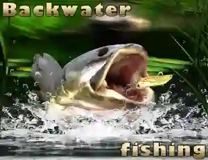 Spel Backwater Fishing aanlyn