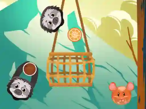 Spel Slings To The Basket aanlyn