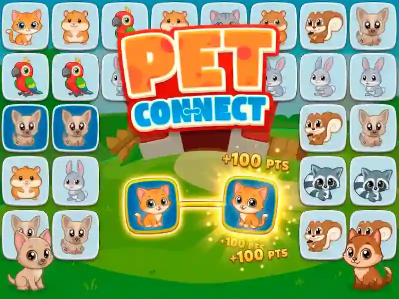 Spel Pet connect aanlyn