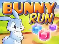 Spel Bunny Run aanlyn