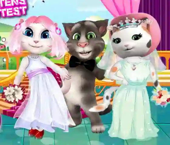 Spel White Kittens Bride Contest aanlyn