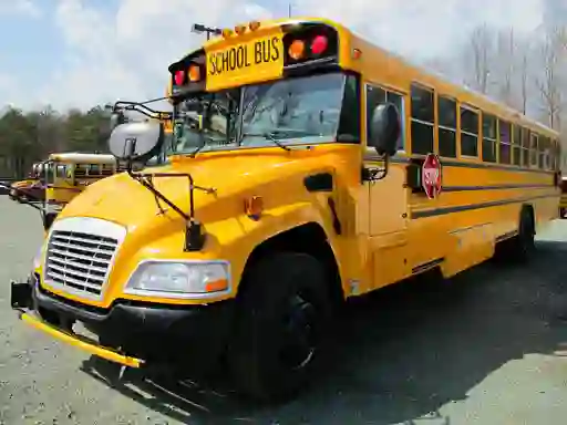 Spel School Buses Puzzle aanlyn