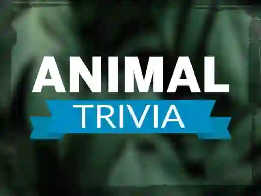 Spel Animal Trivia aanlyn