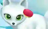 Spel Paws to Beauty Arctic Edition aanlyn