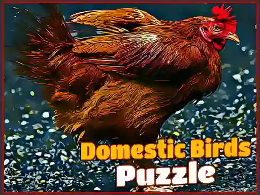 Spel Domestic Birds Puzzle aanlyn