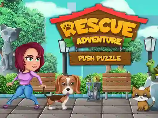 Spel Rescue Adventure Push Puzzle aanlyn