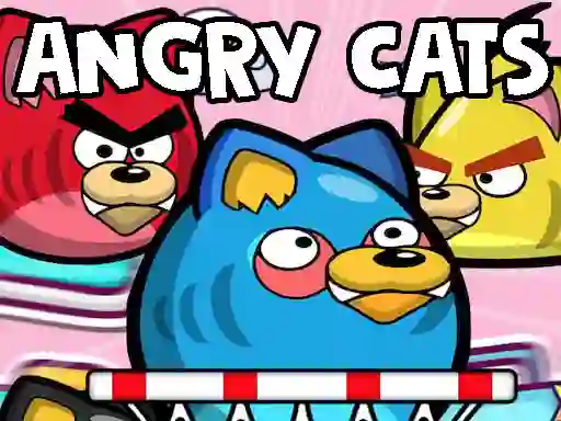 Spel Angry Cats aanlyn