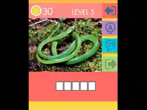 Spel 15 Picture Quiz aanlyn