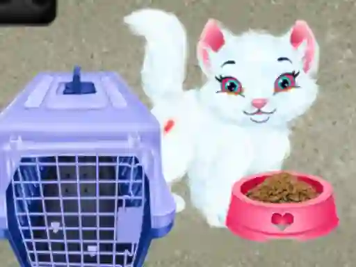 Spel Baby Taylor Pet Care aanlyn