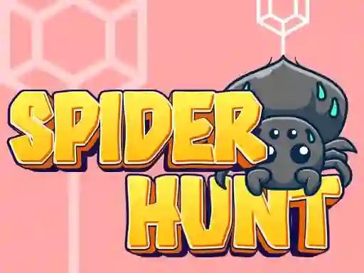 Spel Spider Hunt aanlyn