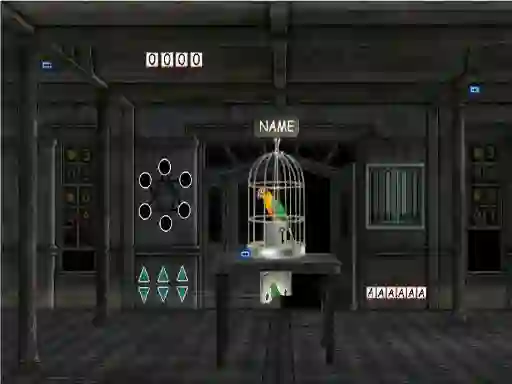 Spel Parrots Escape aanlyn