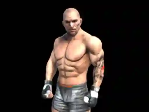 Spel Fight Arena Online aanlyn