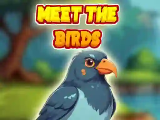 Spel Meet The Birds aanlyn