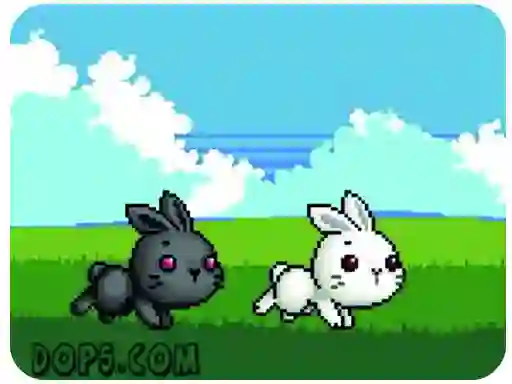 Spel Cute Rabbit aanlyn