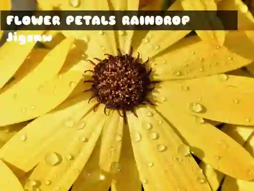 Spel Flower Petals Raindrop Jigsaw aanlyn