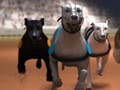 Spel Greyhound Racing aanlyn