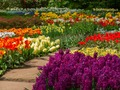 Spel Blomtuin 2  aanlyn