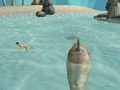 Spel Shark Simulator Beach Killer aanlyn