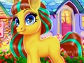 Spel Gelukkige Pony  aanlyn