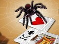 Spel Spring Spider  aanlyn