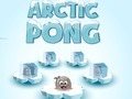 Spel Arktiese Pong  aanlyn