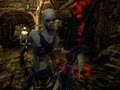 Spel Zombies vs Berserk 2 aanlyn