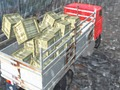 Spel Offroad Truck Driver aanlyn