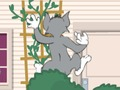 Spel Tom en Jerry: Wasserbomben Wahnsinn  aanlyn