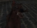 Spel Nazi Zombie Army aanlyn