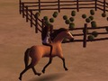 Spel Gees: Reite Los!  aanlyn
