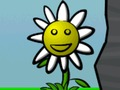 Spel Blomkrag aanlyn