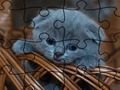Spel Legkaart: Katte  aanlyn