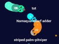 Spel Curvz. io  aanlyn
