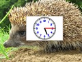 Spel Legkaart foto's horlosies  aanlyn