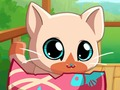 Spel My Pocket Troeteldiere Kitty Cat  aanlyn