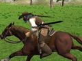 Spel Perdry Simulator  aanlyn