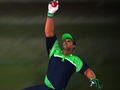 Spel Krieket: Fielder's Challenge  aanlyn