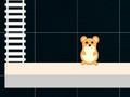 Spel Slim hamster: ewe en vreemd  aanlyn