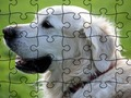 Spel Legkaart Gemak diere  aanlyn