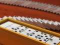 Spel Domino Multiplayer aanlyn