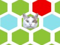Spel Val die kat vas aanlyn