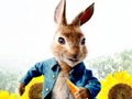 Spel Peter Rabbit: Trouble in the Maze  aanlyn
