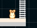 Spel Slim hamstertyd  aanlyn
