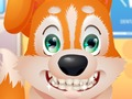 Spel Oulike hondjie tandarts  aanlyn