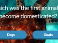 Spel Dieretrivia  aanlyn