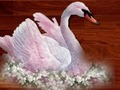 Spel Love Birds Puzzle aanlyn