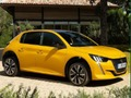Spel Peugeot E-208 aanlyn